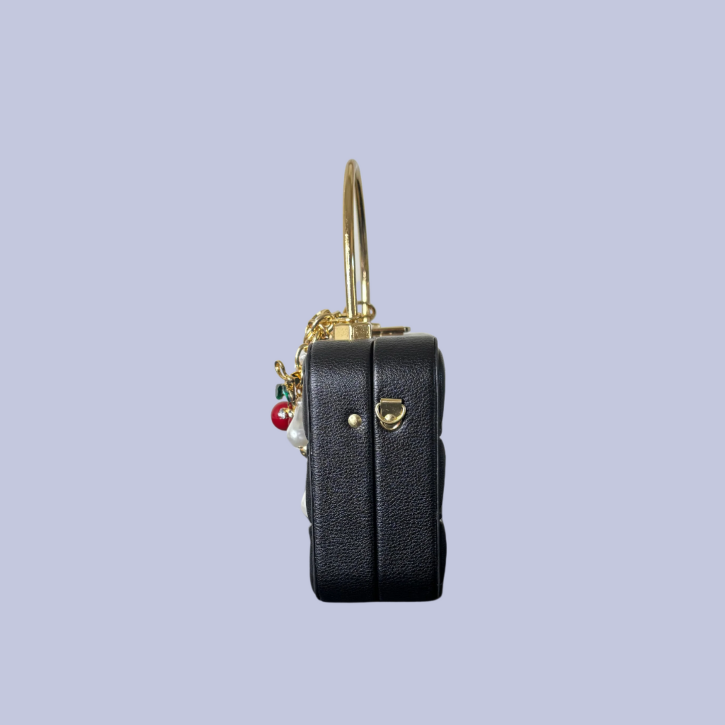 Black Small Handbag/crossbody